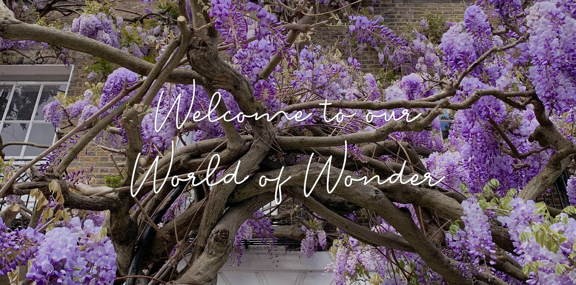 Welcome to Our World of Wonder